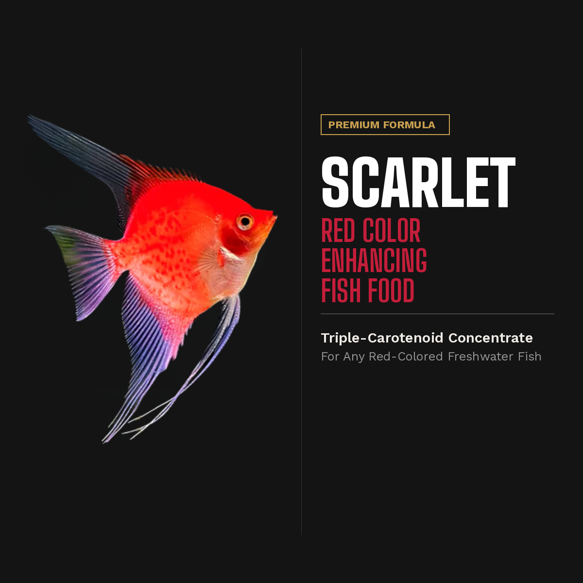 Scarlet red color enhancing fish food with Carophyll Red for red angelfish
