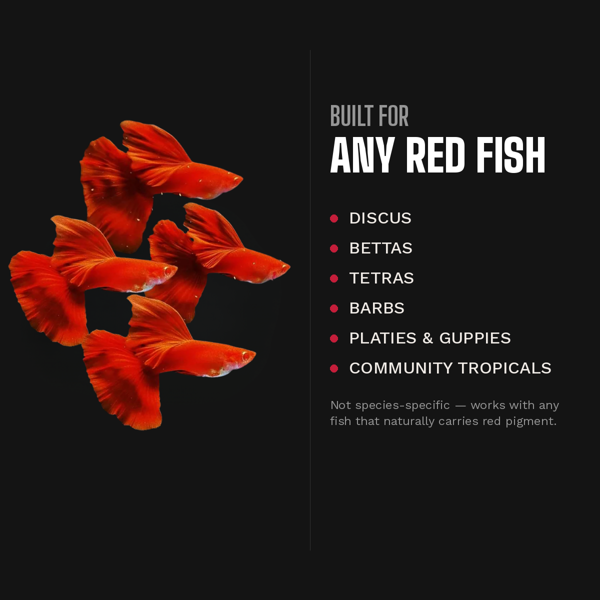 Red color enhancing fish food for discus betta tetras barbs platies and guppies