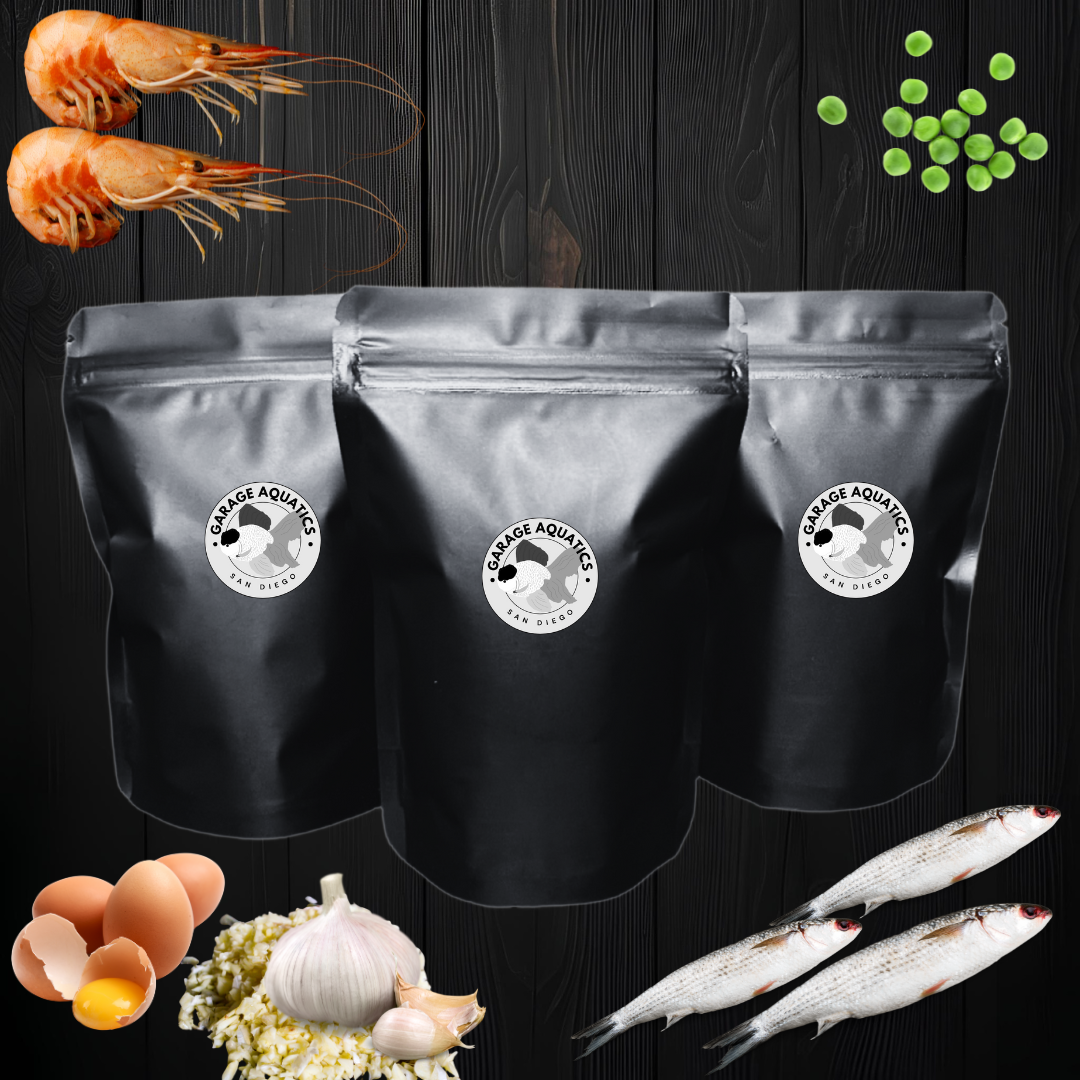 In House Premium Goldfish Pellet Food – Sinking Pellets with Probiotics for Fancy Goldfish & Koi – Supports Digestion, Enhances Color, & Reduces Gas (113g, 227g, 454g)