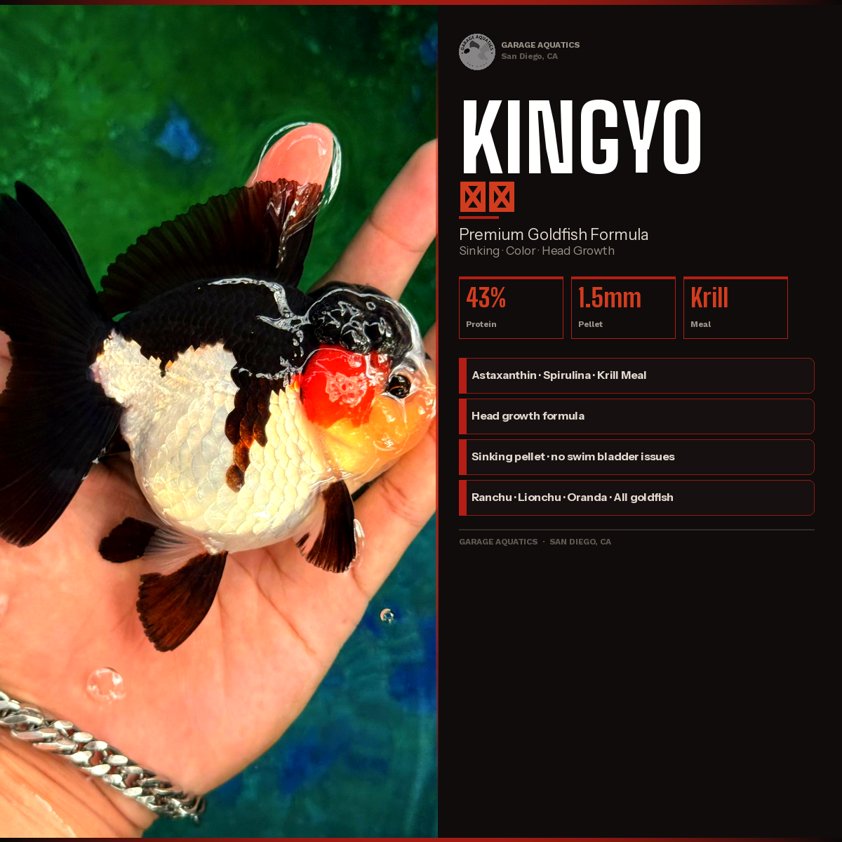 Kingyo 金魚 | Premium Goldfish Food | Sinking Pellet | Head Growth + Color | Krill Meal + Astaxanthin | Garage Aquatics