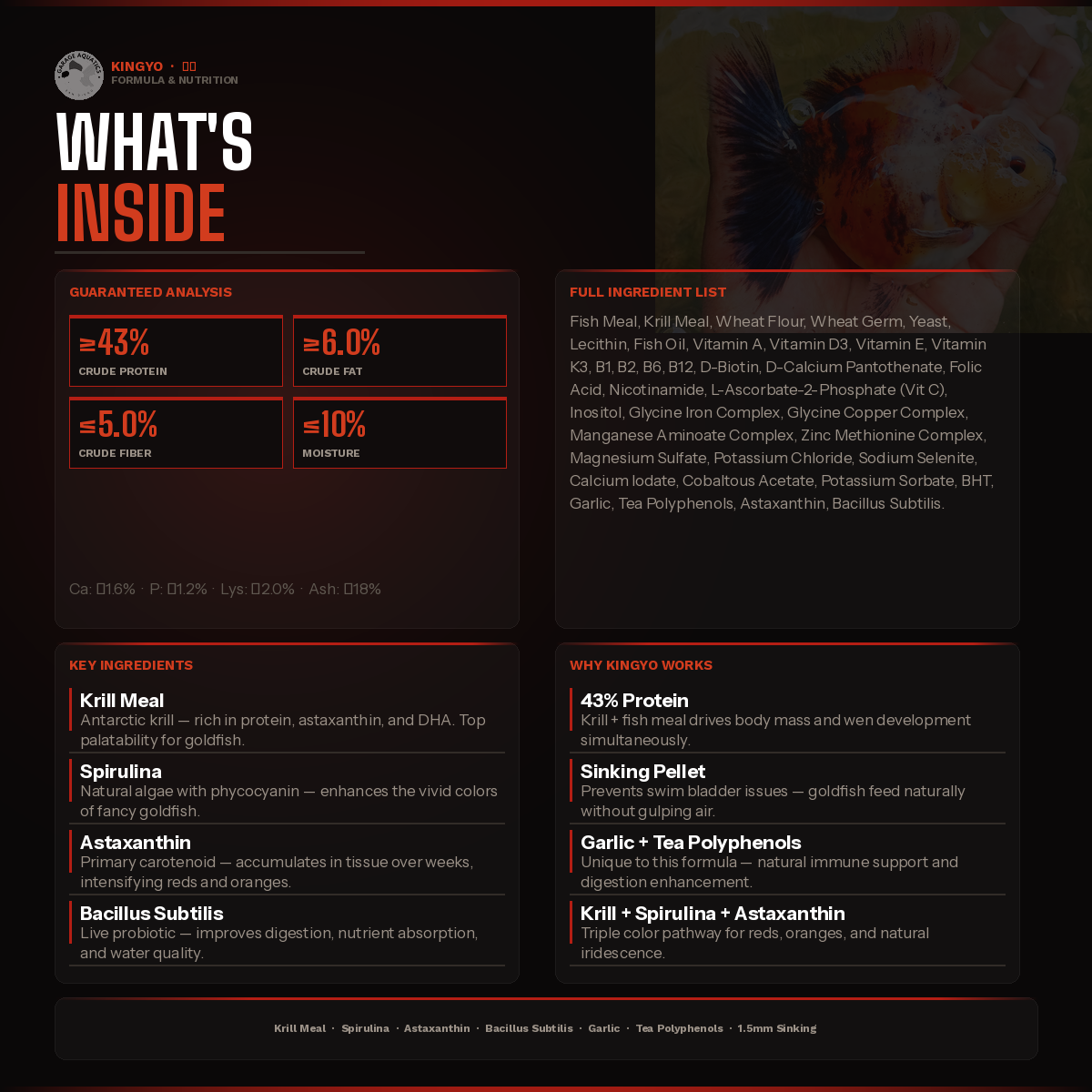 Kingyo 金魚 | Premium Goldfish Food | Sinking Pellet | Head Growth + Color | Krill Meal + Astaxanthin | Garage Aquatics