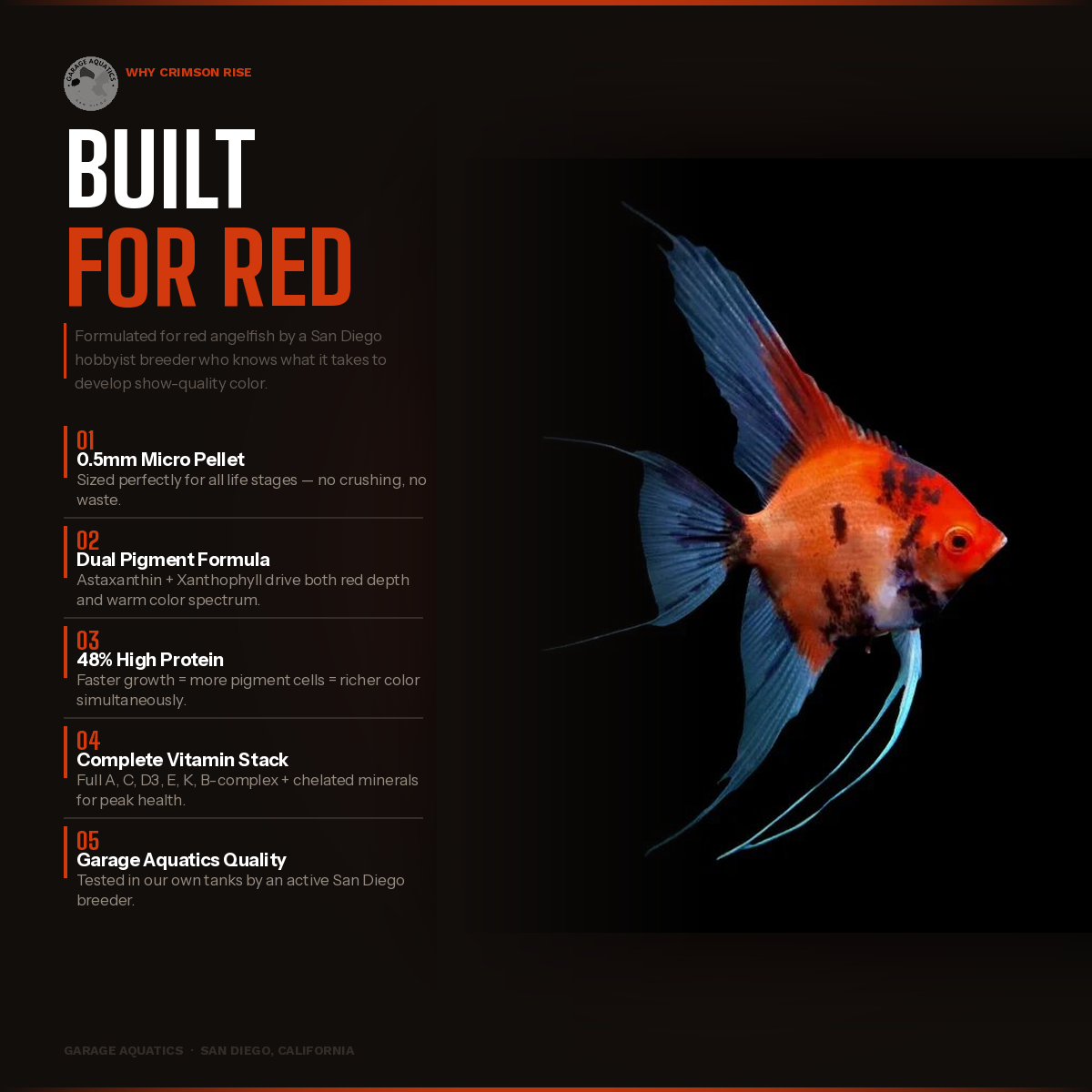 Crimson Rise | Red Angelfish Color Enhancing Food | 0.5mm Micro Pellet | Astaxanthin + Xanthophyll | 48% Protein | Garage Aquatics