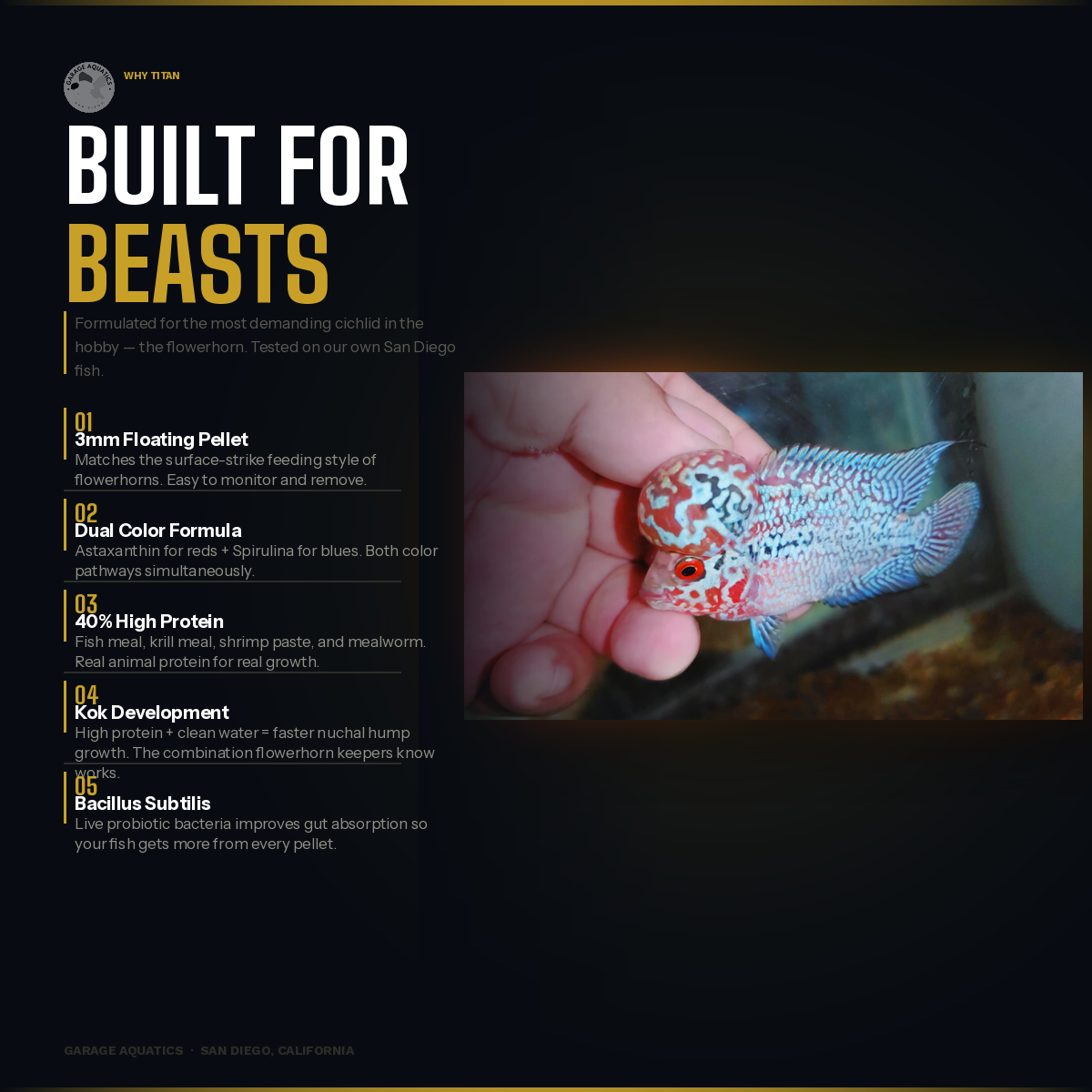 Titan | Flowerhorn Food | High-Protein Color Enhancing Pellets | Kok Development | 3mm Floating Pellet | Garage Aquatics