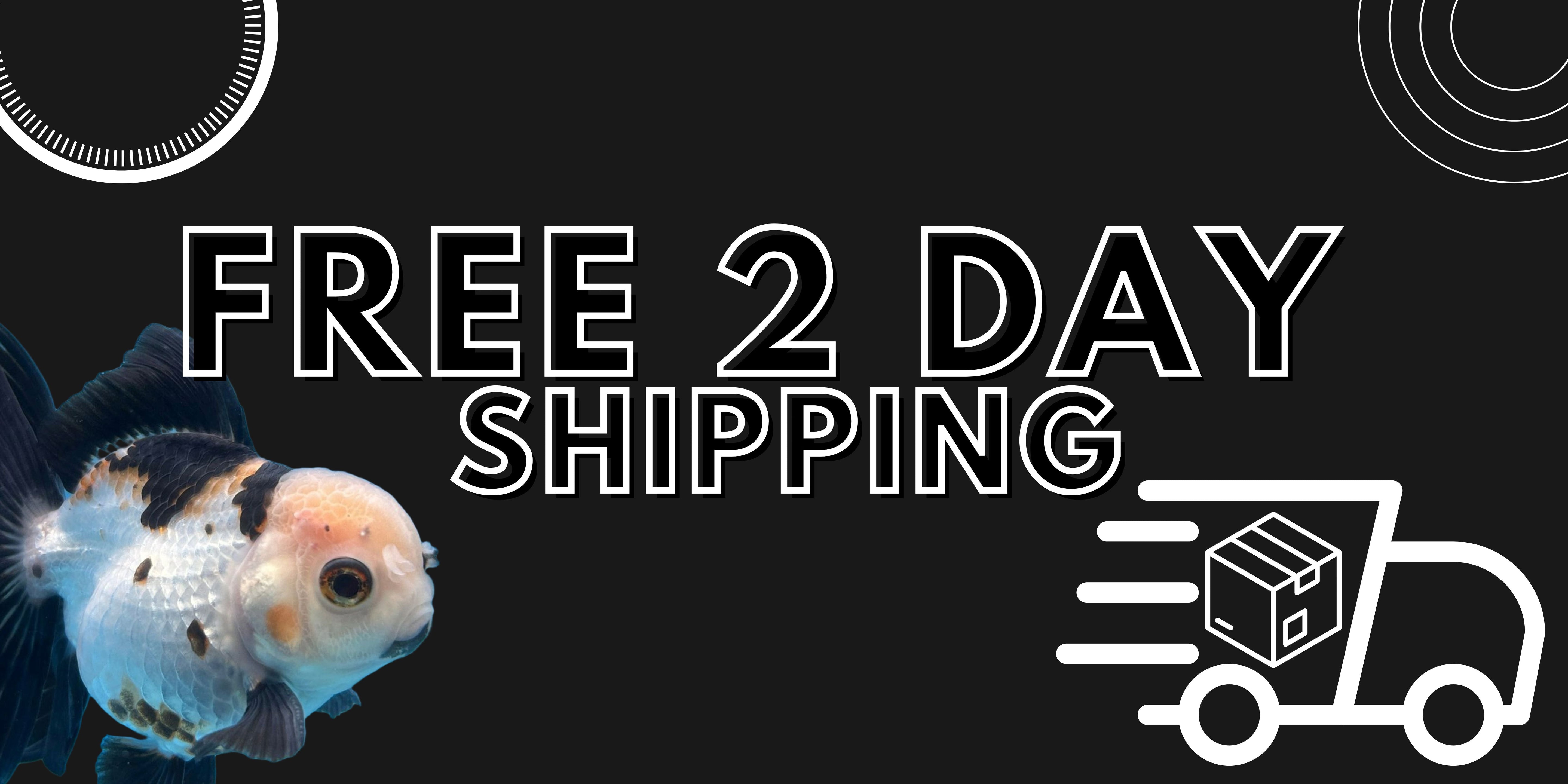 Free 2 Day Shipping