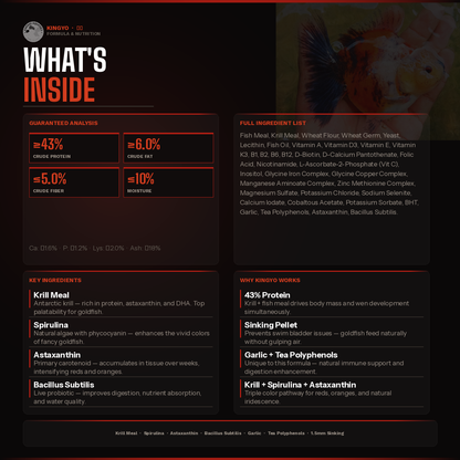 Kingyo 金魚 | Premium Goldfish Food | Sinking Pellet | Head Growth + Color | Krill Meal + Astaxanthin | Garage Aquatics