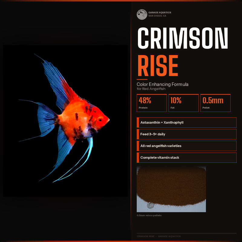 Crimson Rise | Red Angelfish Color Enhancing Food | 0.5mm Micro Pellet | Astaxanthin + Xanthophyll | 48% Protein | Garage Aquatics