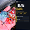 Titan | Flowerhorn Food | High-Protein Color Enhancing Pellets | Kok Development | 3mm Floating Pellet | Garage Aquatics