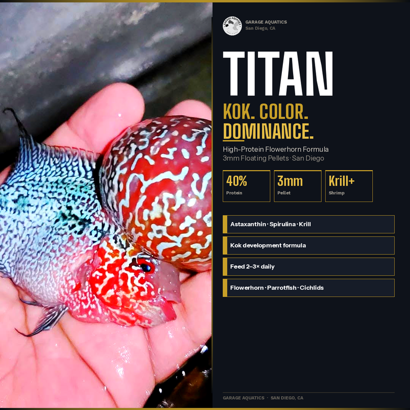 Titan | Flowerhorn Food | High-Protein Color Enhancing Pellets | Kok Development | 3mm Floating Pellet | Garage Aquatics
