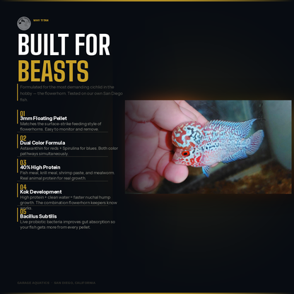 Titan | Flowerhorn Food | High-Protein Color Enhancing Pellets | Kok Development | 3mm Floating Pellet | Garage Aquatics